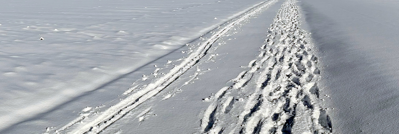 Schneebedeckte Landschaft im Winter
